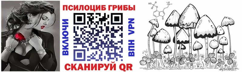 Купить закладки  Оса  Псилоцибиновые грибы Magic Shrooms 